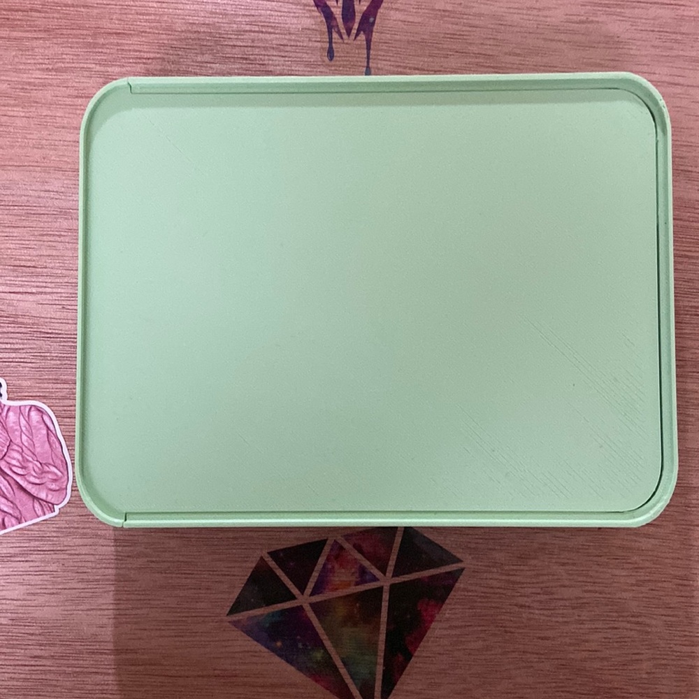 Bella Art De Nicole Max Tray